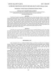 Pengontrolan hormonal terhadap reabsorpsi tubulus. C1837 Jurnal Sistem Urinaria Open Journal Systems