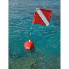 The well known us version and an international version. Diver Down Buoy Flag Diver Down Diver Scuba Gear