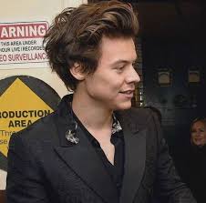 Will you show me how to style my bangs?' are encouraging, says david d. Flawless Harryy Harry Styles Hair Harry Styles Pictures Harry Styles