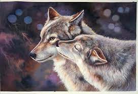 Wolf Couple In Love Portrait High Quality 100 Hand Pai Https Www Amazon Com Dp B076bq13kz Ref Cm Sw R Pi Dp X J5p4 Wolf Love Couples Wolf Wolf Pictures
