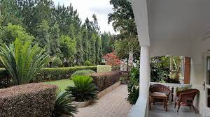 Maybe you would like to learn more about one of these? Brownstone Country Home Lira Uganda Home Facebook