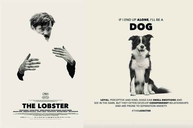 Yorgos Lanthimos' "The Lobster" Review and Explanation - Discover HubPages