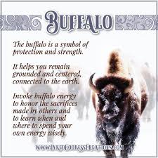 Buffalo The Buffalo Is A Symbol Of Protection And Strength It Helps You Remain Grounded Animal Spirit Guides Spirit Animal Totem Spirit Animal Meaning