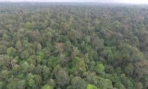 Meliputi kawasan gombak, hulu selangor, rawang, hulu langat, petaling, shah alam, sepang dan kawasan kawasan yang sewaktu dengannya. S Gor Govt Urged To Reconsider Plan To Develop Kuala Langat North Forest Reserve