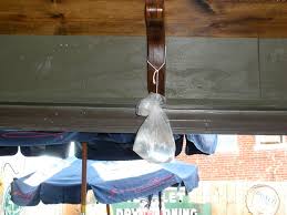 Maybe you would like to learn more about one of these? How Do Basement Apartment Dwellers Manage Flies In The Summer Months Popville