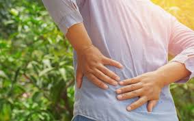 Prin urmare nivelul de uree serică este direct legată de funcția metabolică a ficatului și de funcția excretoare a rinichilor. Nefrologie Arterra