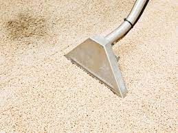 How To Clean Vomit Out Of Carpet Like A Pro — Pro Housekeepers