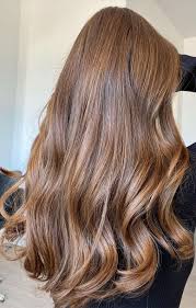 The slight pop of lighter color will draw attention to. 70 Hottest Brown Hair Colour Shades For Stunning Look Soft Brown Hair Colour Idea