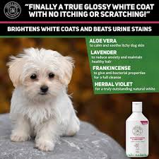 Secrets to whitening a dog's coat preventing staining due to diet. White Dog Shampoo And Conditioner Cooper And Gracie