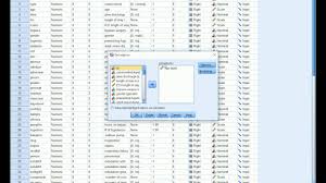 Spss Mean Std Deviation Maximum Minimum Youtube
