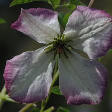 Maybe you would like to learn more about one of these? Klimatis Munchen