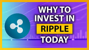 People looking to invest in crypto in 2021 may have already earmarked cardano and/or ripple for inclusion in their portfolio. Ripple Why You Should Invest In It Today Ripple Explained Cryptocurrency Youtube
