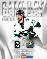 Binghamton Black Bears