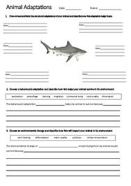 A worksheet is a sheet of paper, or on a computer, on which problems are worked out or solved and answers recorded. Science Worksheets On Adaptation Teachers Pay Teachers