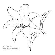Easter Lilies Coloring Page Flower Coloring Pages Lilies Drawing Easter Lily
