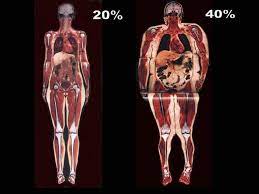 About Billson Fwd Visceral Fat Vfat
