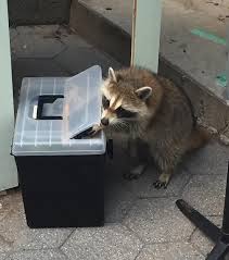 High quality goggles inspired clocks designed and sold by independent artists around the world. Https Www Wnyc Org Story Young And Sober During Covid 19 2020 07 13t18 21 58 04 56 Never 0 5 Https Media Wnyc Org I 1600 1079 L 80 2020 07 18to29now Rr Yr Laurabratton Jpg Https Www Wnyc Org Story 18 29 Now Young America Speaks