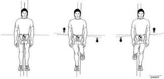 Body Center Of Gravity Fig 23 12 Lateral Displacement Of The Body S Center Of Gravity Is 5 Body Digital Resources Fig