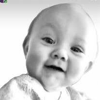 Bronwyn Jeanette Alford Obituary