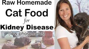 So we should pay attention to the supplement diet full of nutrients. Homemade Cat Food For Kidney Disease Diet Raw Easy Inexpensive Youtube