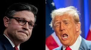 Liz Cheney/Adam Kinzinger Against Trump