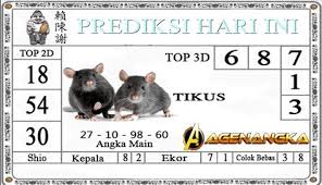 Pin Di Bertaruh Judi Bola Online