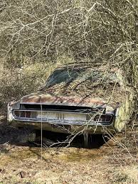 Image result for Cordovan 1969 Dart