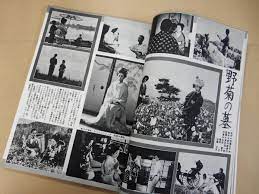 キネマ旬報1981/松田聖子日活ロマンポルノ畑中葉子関根惠子真田広之志穂美悦子高樹澪根津甚八松本零士銀河鉄道999村上春樹の落札情報詳細 -  ヤフオク落札価格検索 オークフリー