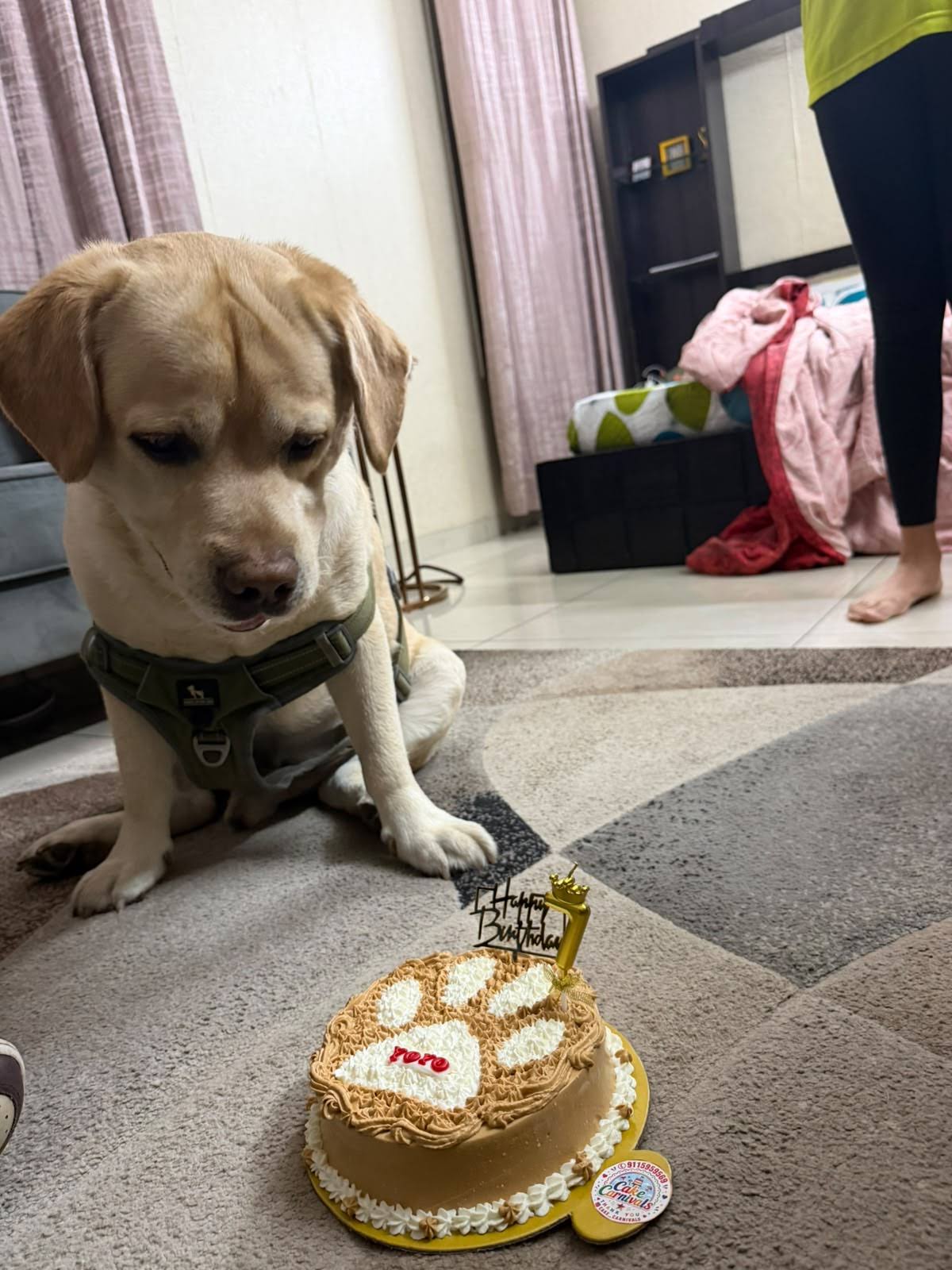 paw print cake product image