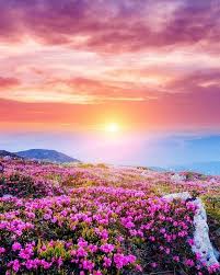 Loves Nature Good Morning Nature Naturephotography Travelphotography Naturel Nature Photography Trees Vintage Nature Photography Nature Photography Quotes