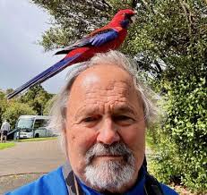 Southeast Pacific Birding