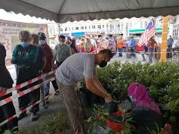 Durian musang king merupakan sebuah pelang bisnis yang menjanjikan alasannya durian sangat di sukai oleh kebayakan orang, anda bisa. Anak Pokok Musang King Rm15