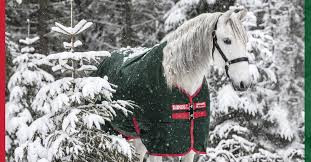 A horse blanket is designed to keep your horse warm and comfortable during colder weather months. How To Measure Your Horse For A Blanket The Farm House
