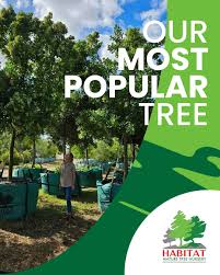 Image result for Apodytes