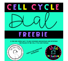 Cell Cycle Activity Free Teaching Teacher Moments Interactive Notebooks Free