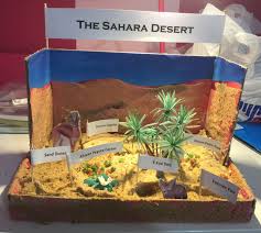 Desert Biome In A Box Sahara Desert Diorama Desert Diorama Desert Crafts Deserts