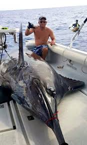 angler lands 1 368 pound blue marlin from 20 foot skiff