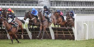 Road to Cheltenham: 25-1 ante-post tip for the Supreme Novices' Hurdle 🏆