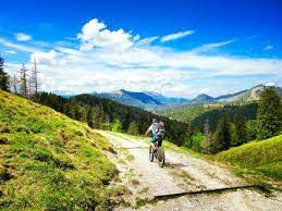Alm serves a community of over 6 million business professionals seeking to discover, connect and compete in highly complex industries. Kurze Feierabend Tour Von Jachenau In Richtung Staffel Und Vorbei An Der Lainer Alm Zur Idyllisch Gelegenen Luitpolder Alm Mtbsepp De