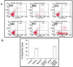Osmotic Diuretics Induce Adenosine A1 Receptor Expression And Protect Renal Proximal Tubular Epithelial Cells Against Cisplatin Mediated Apoptosis Sciencedirect