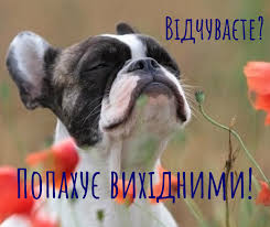 WoodPosters - 😀 Всім гарного вечора п'ятниці та гарних... | Facebook