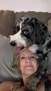 car detailing services near me?