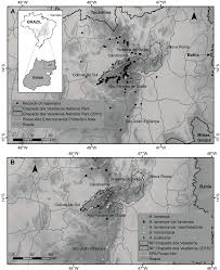 Image result for Centrostigma occultans