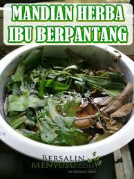 Mandian herba bersalin tyt digunakan secara tradisional untuk kesihatan wanita lepas bersalin , untu. Mandi Herba Bantu Memulihkan Tenaga Dan Kesihatan Ibu Lepas Bersalin Bonda Miza Pengedar Leader Shaklee Terbaik Malaysia