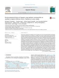 Image result for Eriocaulon teusczii