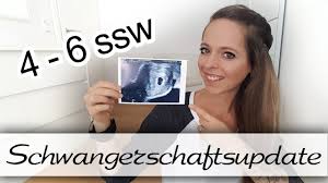 4 6 Ssw 1 Schwangerschaftsupdate Frauenarzttermin Youtube