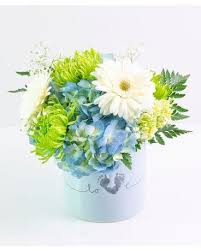 Check spelling or type a new query. Baby Blue In Knoxville Tn Best Flowers Worldwide
