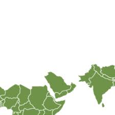 Image result for Terminalia trichopoda