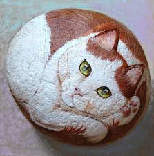 Cat On Rock Yaratici Fikirler Renkler Ve Painting