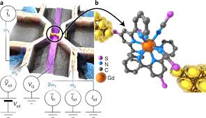 View complete tapology profile, bio, rankings, photos, news and record. Molecular Magnetism Web